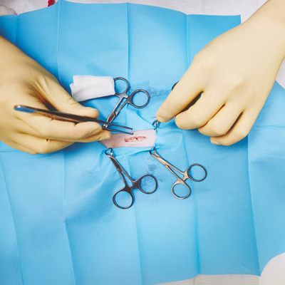 Pet Surgery